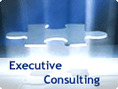 Executive Consulting